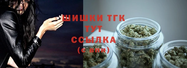 амф Белоозёрский