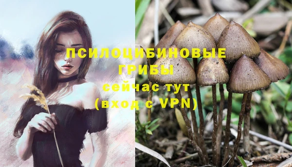 крисы Беломорск