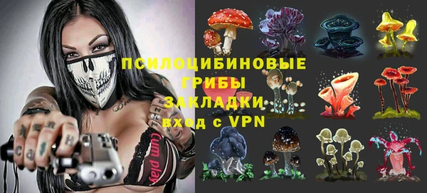 крисы Беломорск