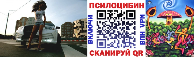 мега   Полесск  Галлюциногенные грибы MAGIC MUSHROOMS 